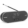 Nešiojamas radijas TechniSat DIGITRADIO BT 2 DAB+ FM 20W