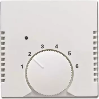 Tinklo įrenginys Busch-jaeger 2CKA001710A4117
