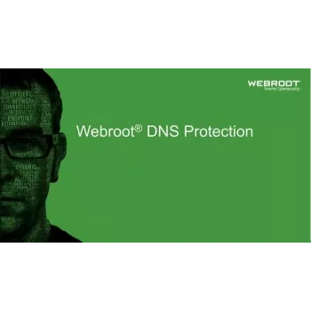 Webroot DNS Protection su GSM Console | 1 metai | Licencija 1-9 vartotojams