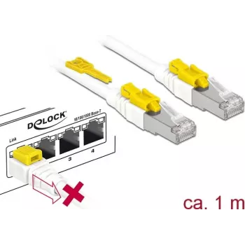 Tinklo kabelis DeLOCK 85331 RJ-45 Cat6a 1 m Baltas