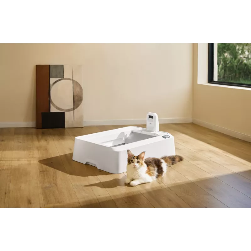 Savaime išsivalantis katino tualetas PETKIT T7-EU, baltas
