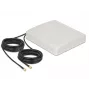 DeLOCK 89891 kryptinė antena SMA 8 dBi