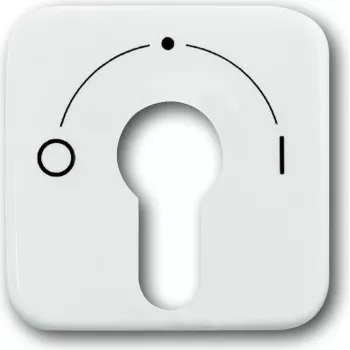 BUSCH JAEGER centrinė dengiamoji plokštė aws f.Key Switch 2557 SLPZ-21