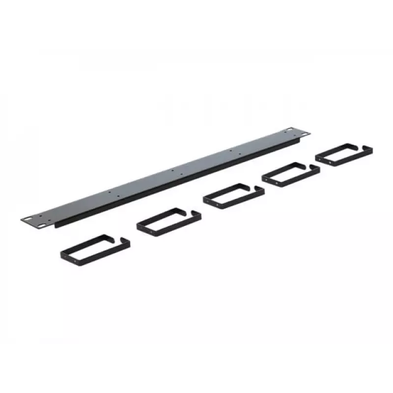 DeLOCK 42496 1U kabelių valdymo skydelis 19 inch