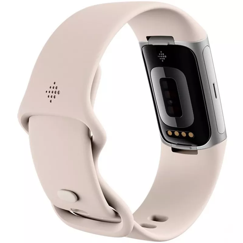 Fitbit GA05185-EU Sidabrinė