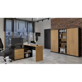 Topeshop OLIV 2D ANT/ART KPL biuro spinta knygoms