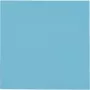 Thermal Grizzly Minus Pad Pro terminė pagalvėlė 100 x 100 x 0.5 mm