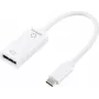 Renkforce USB-C® į DisplayPort adapteris [1x USB-C® kištukas - 1x DisplayPort lizdas] 0,15 m (RF-6056894)
