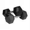 Guminiai ketaus svarmenys HEX 2x10 kg REBEL ACTIVE