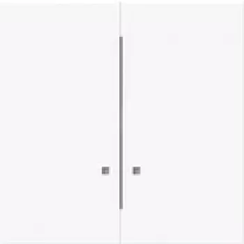 BUSCH JAEGER jungiklio svirtis 1785 K-44G su 2 svirties puselėmis (2CKA001751A3305)