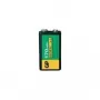 Įkraunamas baterijų blokas GP 30117R9H-C1 8,4V 170mAh NiMH