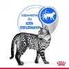 Šlapias kačių ėdalas Royal Canin Indoor Sterilized 85 g pakuotė – suaugusioms sterilizuotoms katėms, paukštienos skonis, dėžutė 12 x 85 g