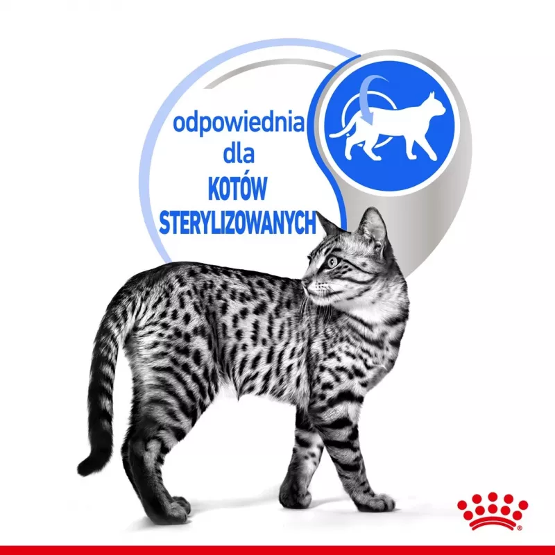 Šlapias kačių ėdalas Royal Canin Indoor Sterilized 85 g pakuotė – suaugusioms sterilizuotoms katėms, paukštienos skonis, dėžutė 12 x 85 g