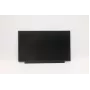 Lenovo 02HL701 13,3 colio HD TN LCD skydelis, matinis, 250 cd/m²
