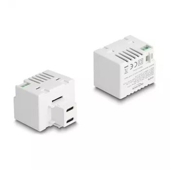 DeLOCK Keystone modulis 41479 2 x USB Type-C PD 20 W Baltas