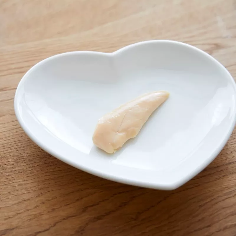 INABA Ciao keptienos filė gabalėliai vištienos skonio sultinyje - skanėstai katėms - 25g
