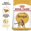 Royal Canin FBN Bengal Adult sausas maistas katėms, 10 kg