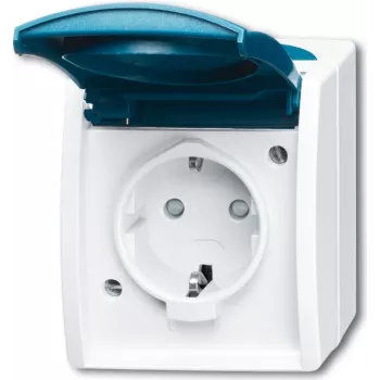 Busch-jaeger 2CKA002083A0842 Blue