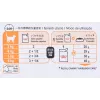 Šlapias ėdalas katėms Royal Canin Intense Beauty 85 g pakelis — suaugusioms katėms, odos ir kailio palaikymui, mėsos skonis, 12×85 g