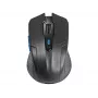 Tracer Fairy - optinė pelė - 6 mygtukai - belaidė - 2.4 GHz - USB belaidis imtuvas - juoda