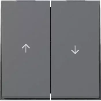 GIRA rokeris 329467 2f arrow TX44 WG UP antracitas (329467)