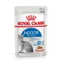 Šlapias ėdalas katėms Royal Canin Indoor Sterilized 12 x 85 g – paukštiena, suaugusioms sterilizuotoms patalpų katėms