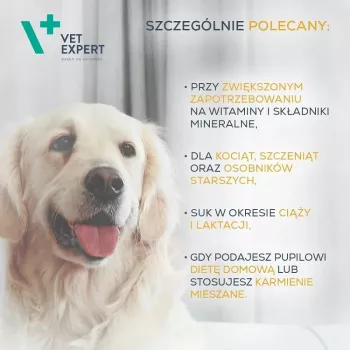 Multivitamininės kapsulės VETEXPERT 30 vnt šunims ir katėms – gyvybingumui, sąnarių palaikymui, be konservantų ir glitimo