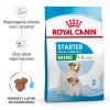 Sausas šunų ėdalas Royal Canin Starter Mother & Babydog 1 kg — Vištiena, 30% baltymų, 22% riebalų