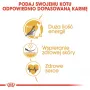 Royal Canin Sphynx Adult sausas maistas katėms, 2 kg