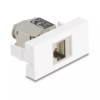 DELOCK 90904 Cat.6A RJ45 modulis su LED, skirtas Keystone ir pataisų skydams