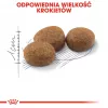 ROYAL CANIN Sterilised 37 sausas kačių ėdalas - 10 kg