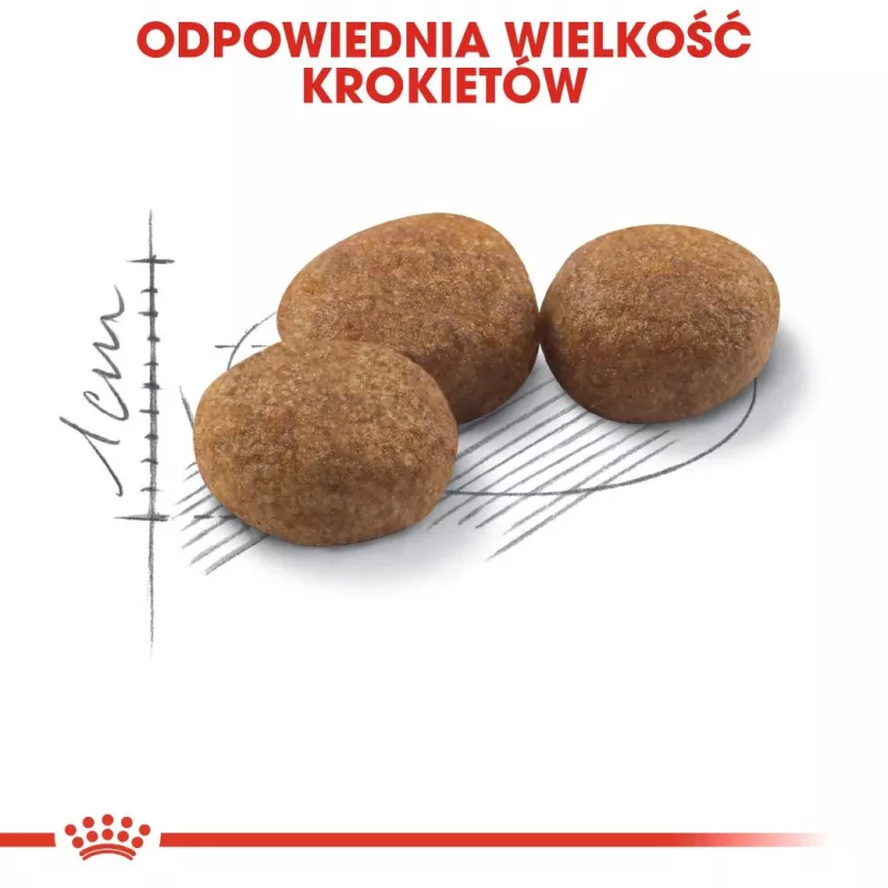 ROYAL CANIN Sterilised 37 sausas kačių ėdalas - 10 kg