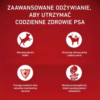 PURINA ONE MINI šunų ėdalas jautriems šunims su lašiša ir ryžiais 1,5 kg