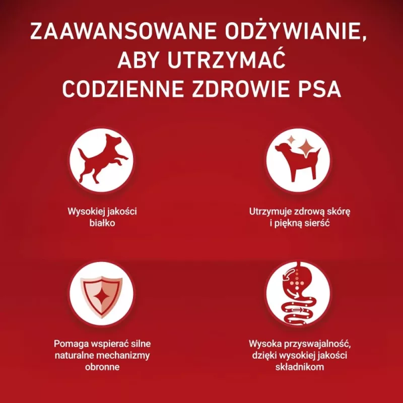 PURINA ONE MINI šunų ėdalas jautriems šunims su lašiša ir ryžiais 1,5 kg