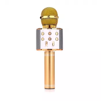 Mikrofonas MANTA MIC10-G auksinis kardioidinis nešiojamas