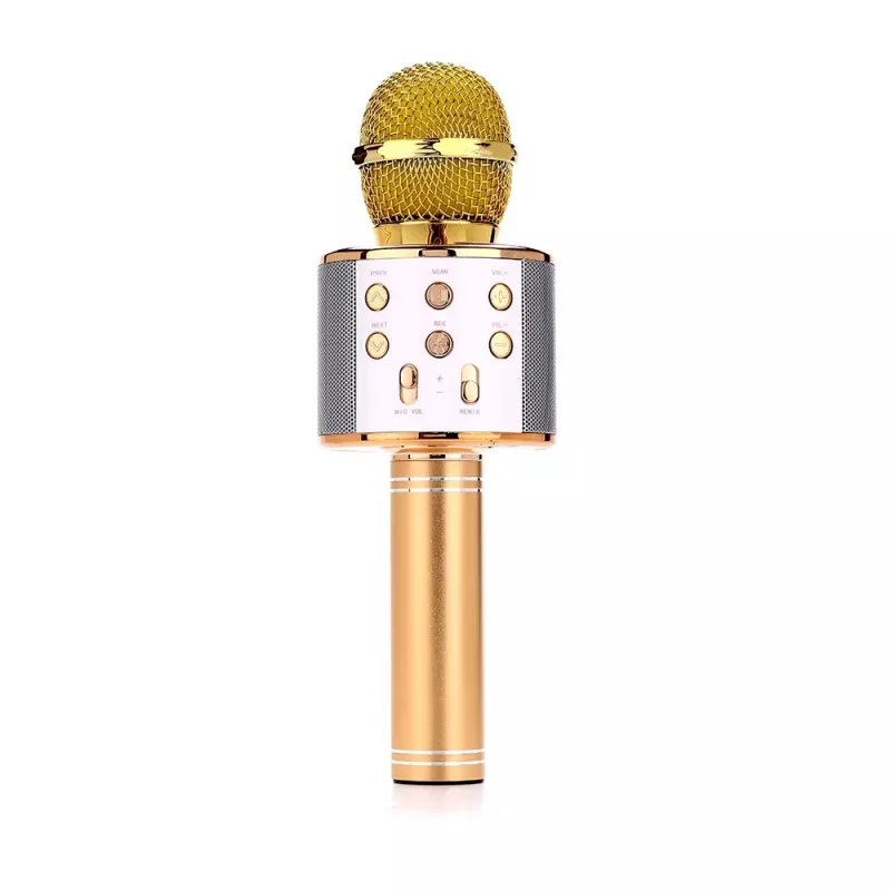 Mikrofonas MANTA MIC10-G auksinis kardioidinis nešiojamas
