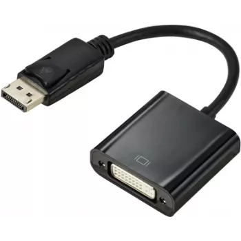 Renkforce RF-5771774 DisplayPort / DVI adapteris [1x DisplayPort kištukas - 1x DVI lizdas 24+5 kont.] juodas PVC apvalkalas 15 cm (RF-5771774)