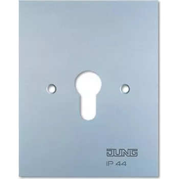 Metalinė dengiamoji plokštelė 125x100mm be simbolių 6.28 WUG (6.28WUG)