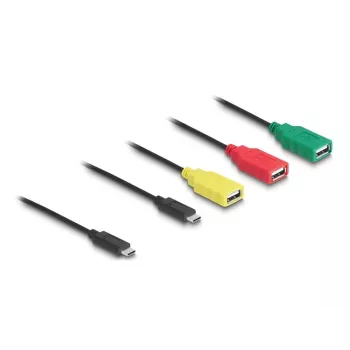DeLOCK 4 prievadų USB 2.0 kabelinis šakotuvas USB Type-C į 3× USB-A moteriška + 1× USB-C vyriška