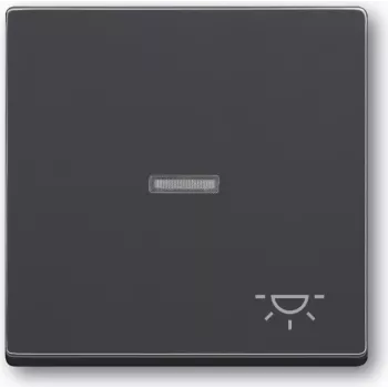 Tinklo įrenginys Busch-jaeger 2CKA001751A2931