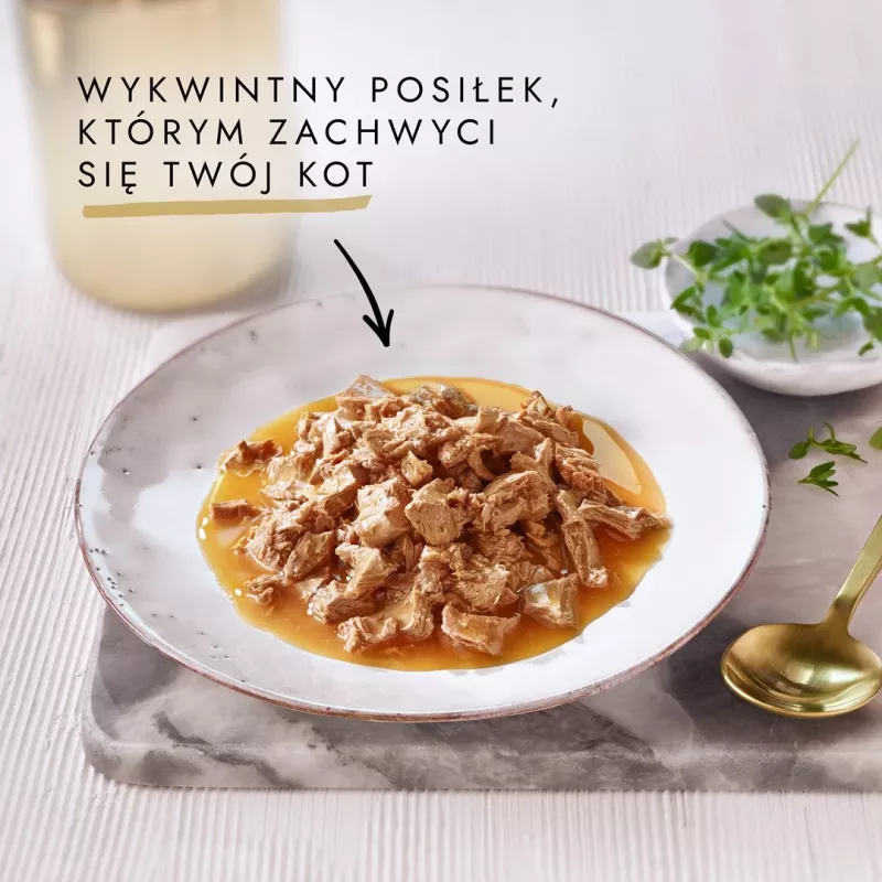 GOURMET GOLD Sauce Delights Vištiena 85g