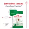 Sausas šunų ėdalas Royal Canin Adult Mini S 8 kg – visavertė mityba mažų veislių suaugusiems šunims