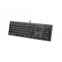 Laidinė klaviatūra A4Tech FX60H USB QWERTY – pilno dydžio 100%, balta foninė šviesa, pilka, USB šakotuvas