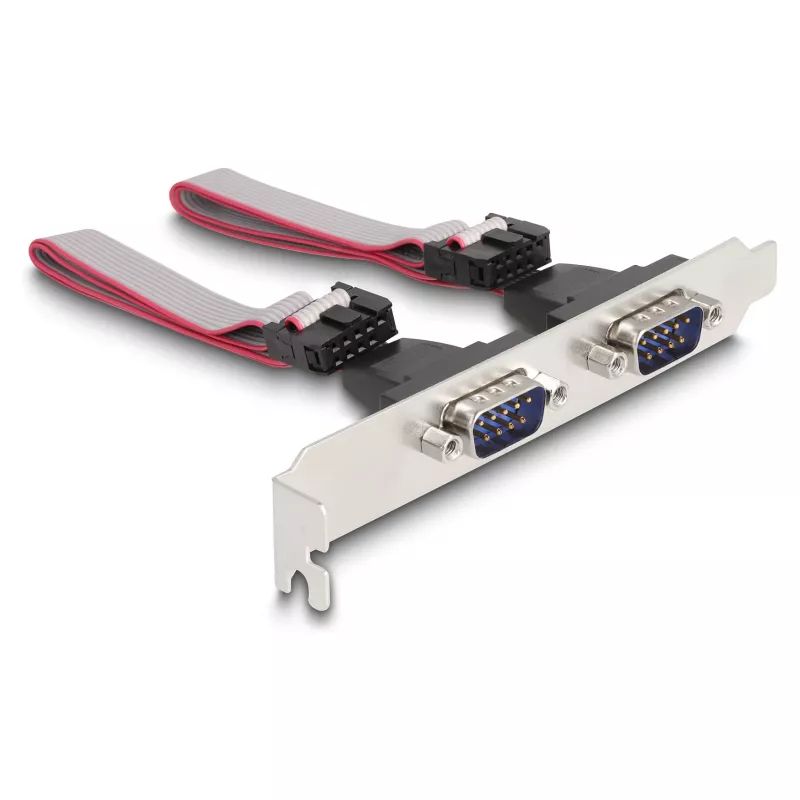 DeLOCK Mini PCIe pilno dydžio kortelė į 2 x Serial RS-232 D-Sub 9 kontaktų