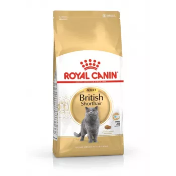 Sausas kačių ėdalas Royal Canin British Shorthair Adult 10 kg – paukštiena, baltymai 34%, riebalai 19%