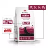 PUPIL Premium Medium and large breeds Rich in beef - sausas šunų maistas - 12kg