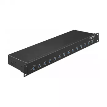 USB šakotuvas DeLOCK 64039