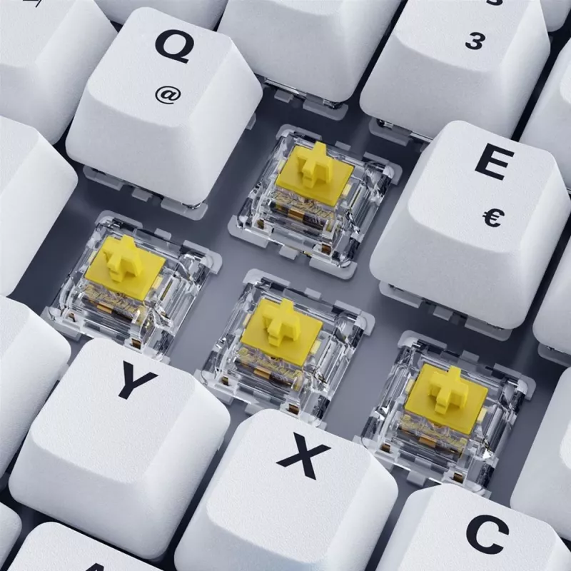 Sharkoon SKILLER SGK50 S3 PBT klaviatūra Gaming USB QWERTZ Vokiška Balta