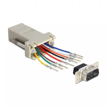 DeLOCK 65462 lyties keitiklis Sub-D 9 (DB9) į RJ45