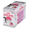 Royal Canin FHN Instinctive drėgnas pašteto tipo kačių maistas suaugusioms katėms, 12 x 85 g